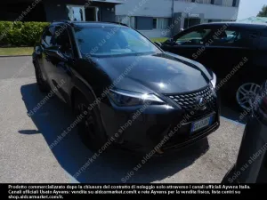 Lexus UX Business 2021