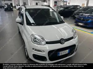 Fiat Panda 1.2 Easy 2019