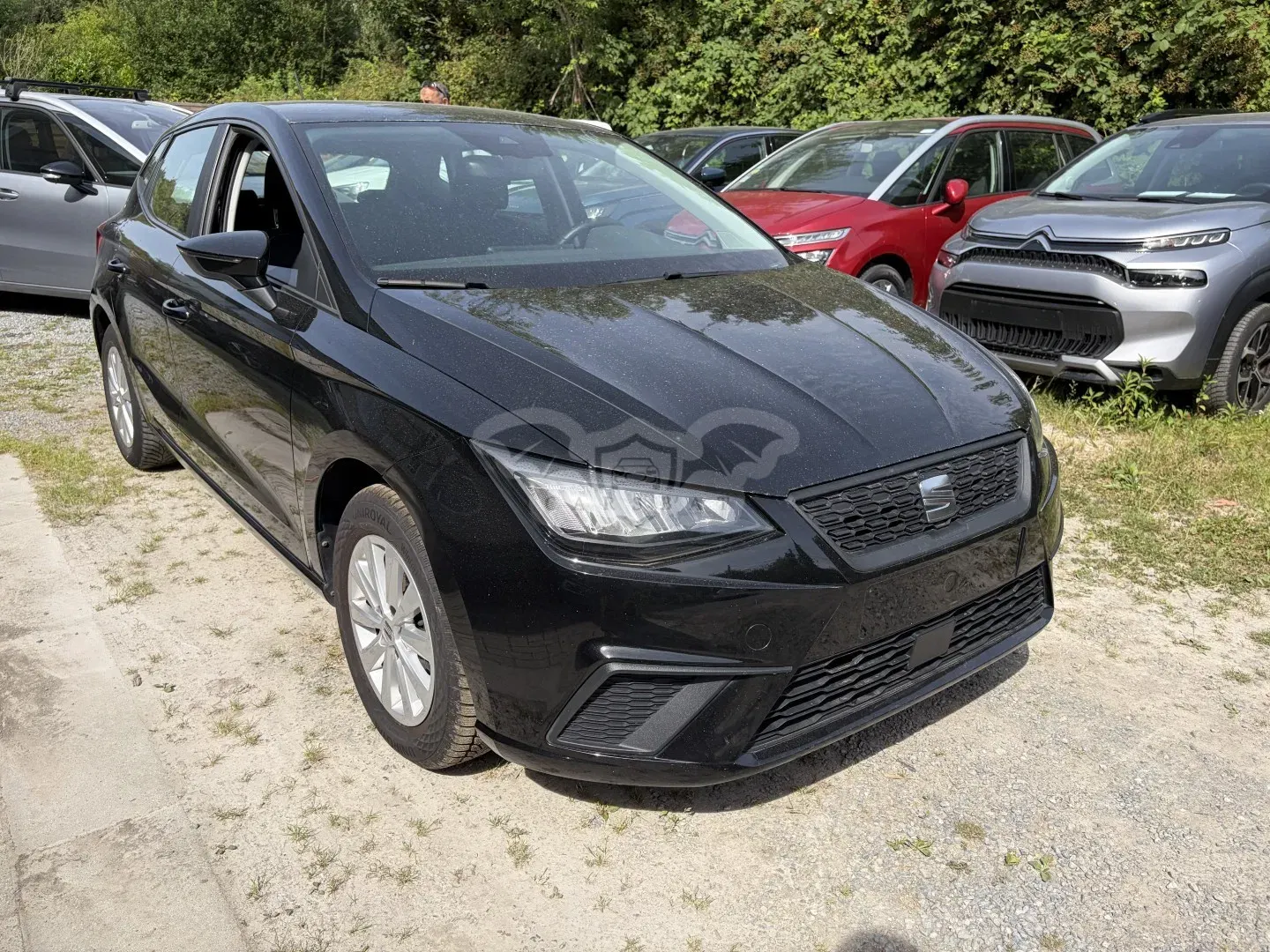 Seat Ibiza 1.0 TGI Style 2022