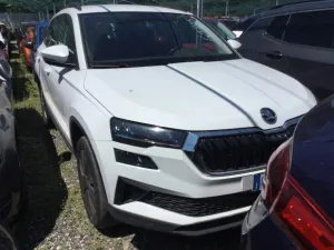 Skoda Karoq 2.0 TDI Executive 2024