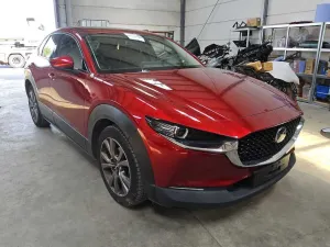 Mazda CX-30 2.0 M-Hybrid Selection 2020