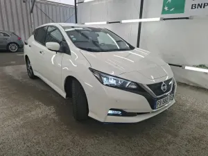 Nissan Leaf Business 2020