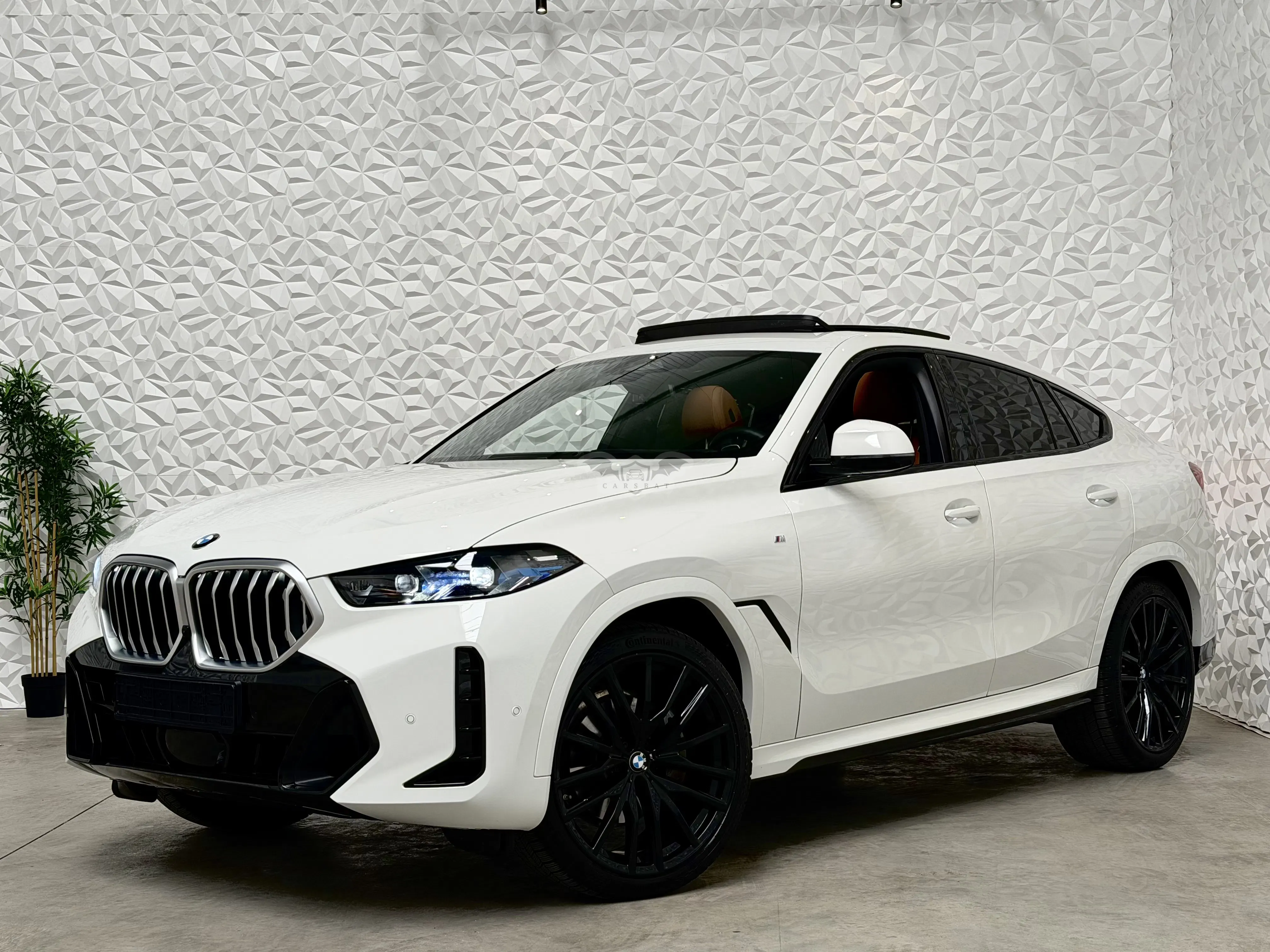 BMW X6 30d M Sport 2025