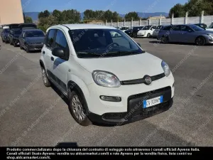 Fiat Panda 1.0 2024