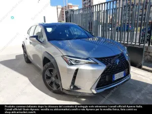 Lexus UX Executive Executive 2021