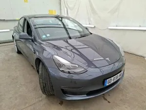 Tesla Model 3 Business 2021