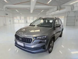 Skoda Karoq 2.0 TDI Executive 2023