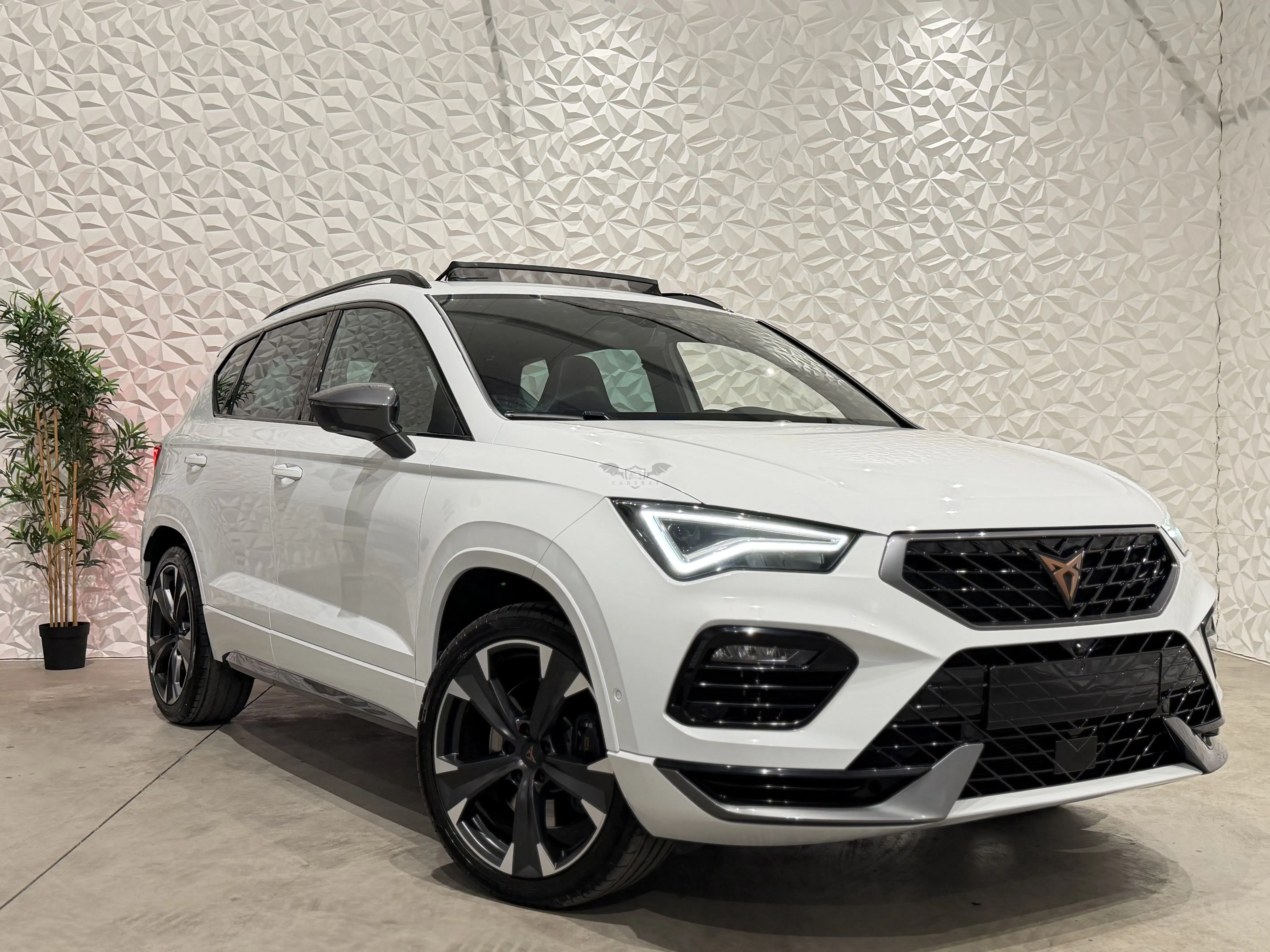 Cupra Ateca 2.0 TSI 2021