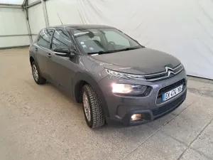 Citroën C4 Cactus Feel Business 2018