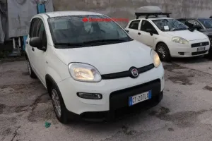 Fiat Panda 1.0i 2024