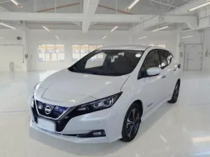 Nissan Leaf 40 kWh Business 2020