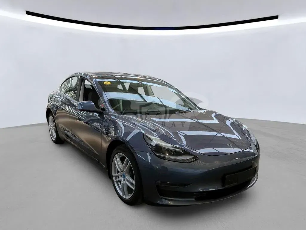 Tesla Model 3 75 kWh 2021