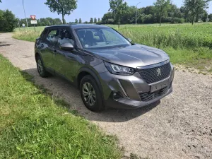Peugeot 2008 Active Business 2020