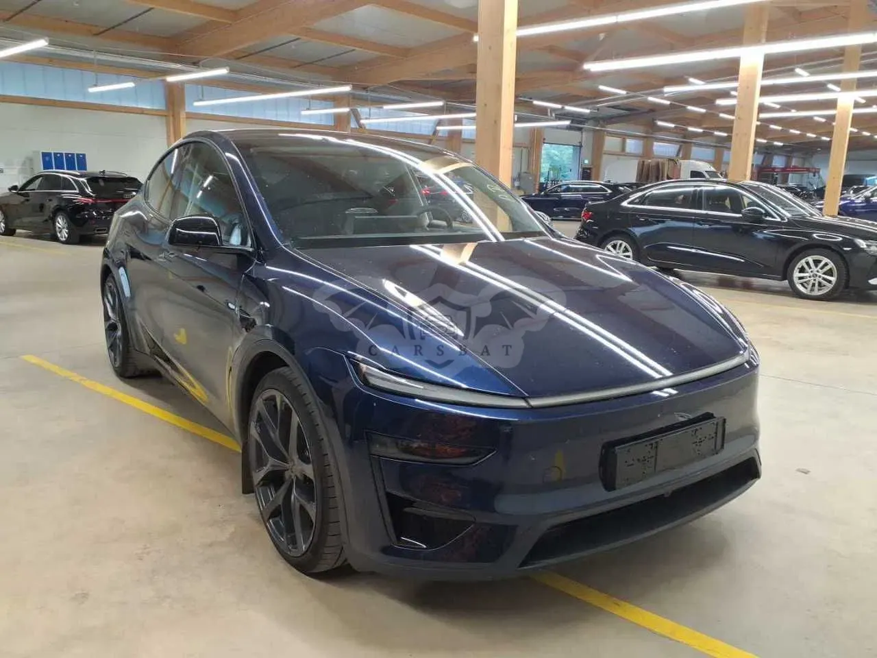 Tesla Model Y Performance 2025