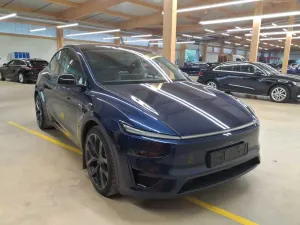 Tesla Model Y Performance 2025