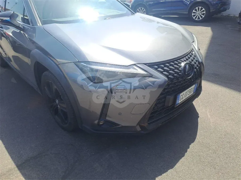Lexus UX Business 2021