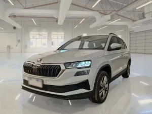 Skoda Karoq 2.0 TDI Executive 2023