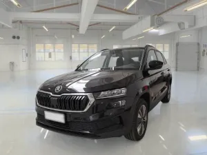 Skoda Karoq 2.0 TDI Executive 2022