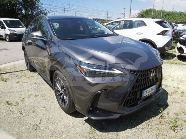Lexus NX 350h Business 2023