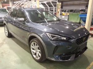 Cupra Formentor 1.5 TSI 2022