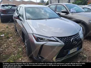 Lexus UX Business Business 2021