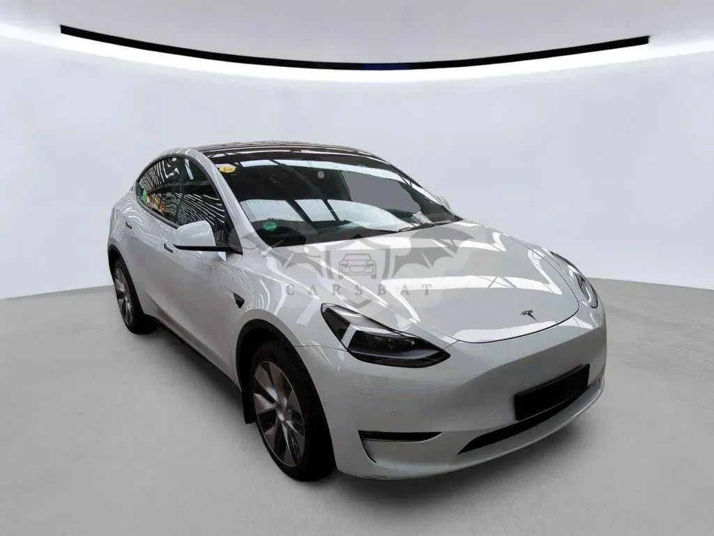 Tesla Model Y Long Range 82 kWh 2021