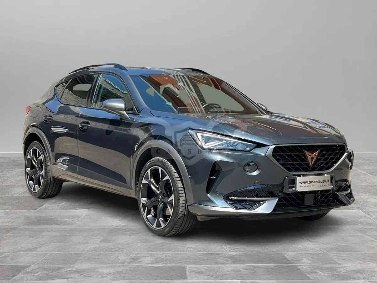 Cupra Formentor 2.0 TSI 2021