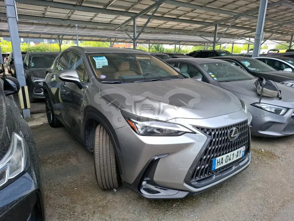 Lexus NX 450h Luxe 2024