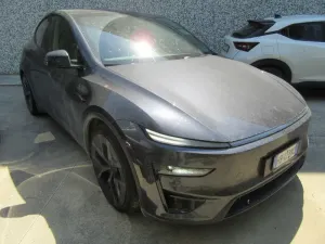 Tesla Model Y Performance 2025