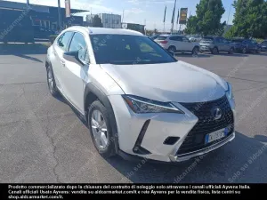Lexus UX Business Business 2022
