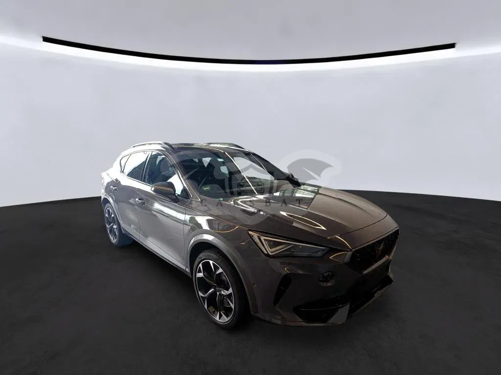 Cupra Formentor 2.0 TSI VZ 2024