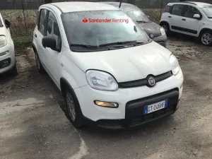 Fiat Panda 1.0 2024