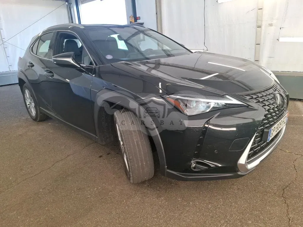 Lexus UX 250h Business 2023