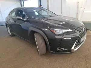 Lexus UX 250h Business 2023