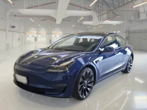 Tesla Model 3 Performance 75 kWh 2022
