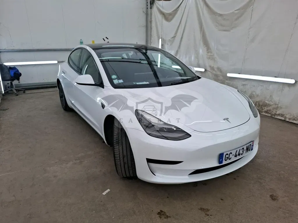 Tesla Model 3 Standard Range Plus 2021