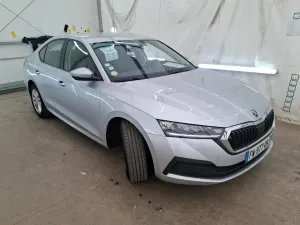 Skoda Octavia 2.0 TDI Business 2021
