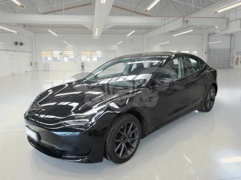 Tesla Model 3 Standard Range Plus 2021
