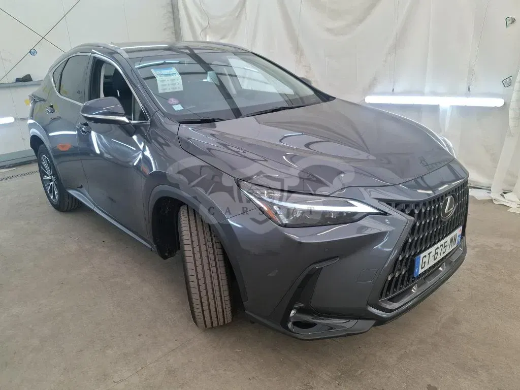 Lexus NX Luxe 2024