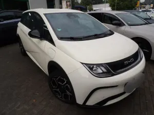 BYD Dolphin Comfort 2024