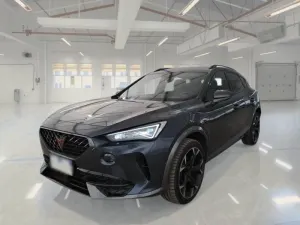 Cupra Formentor 2.0 TDI 2022