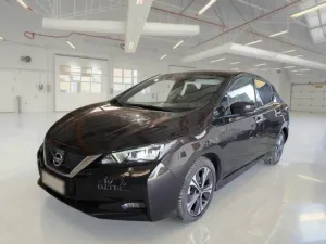 Nissan Leaf 40 kWh Business 2021