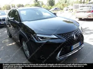 Lexus UX Business 2021
