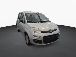 Fiat Panda 1.2 Easy 2020