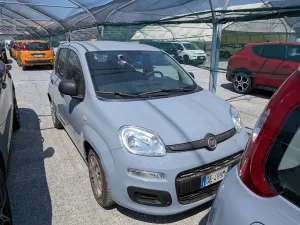 Fiat Panda 1.0 2021