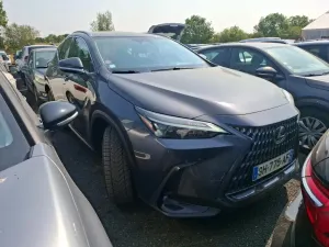 Lexus NX 350h Business 2022