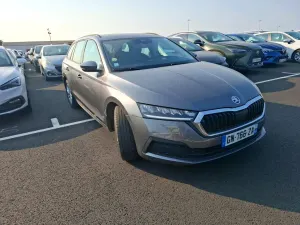 Skoda Octavia Combi 2.0 TDI Business 2023