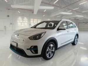 Kia Niro 65 kWh Style 2022