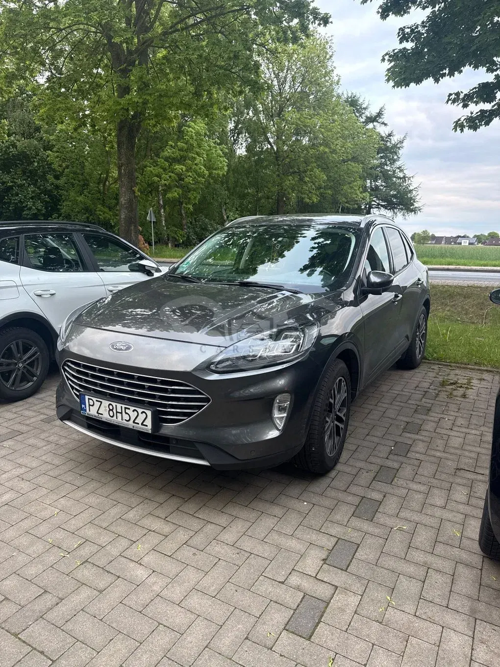 Ford Kuga III 2.0 EcoBlue AWD Titanium 2021