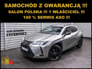 Lexus UX 250h Business Edition 2021